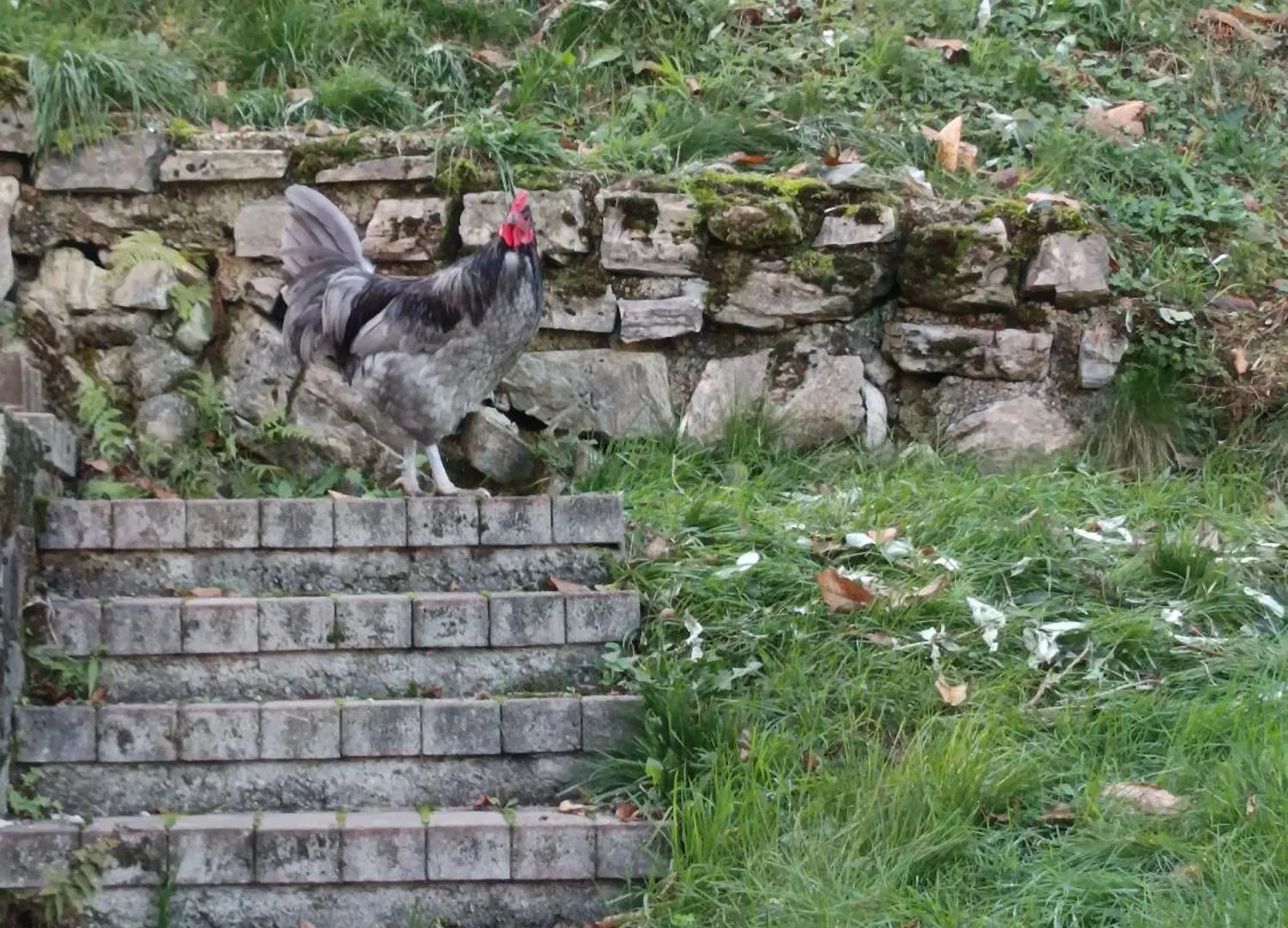 Nyaraló La Casa Di Alice Villa Valbrona Olaszország