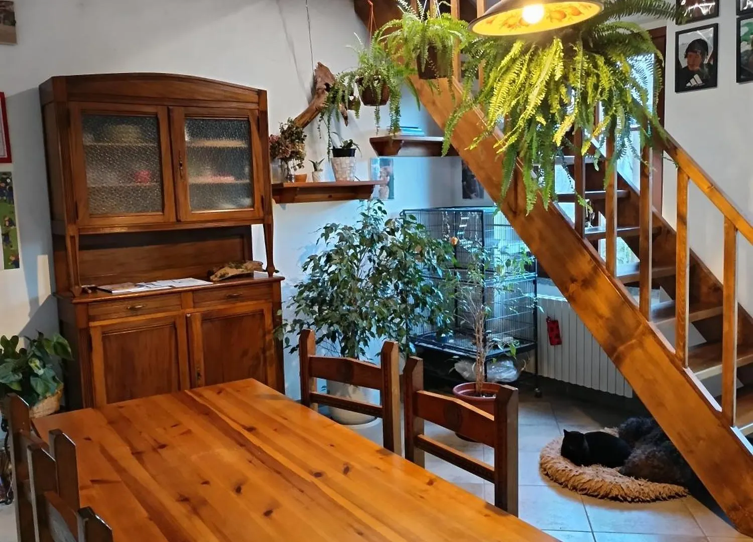 La Casa Di Alice Villa Valbrona 0*,